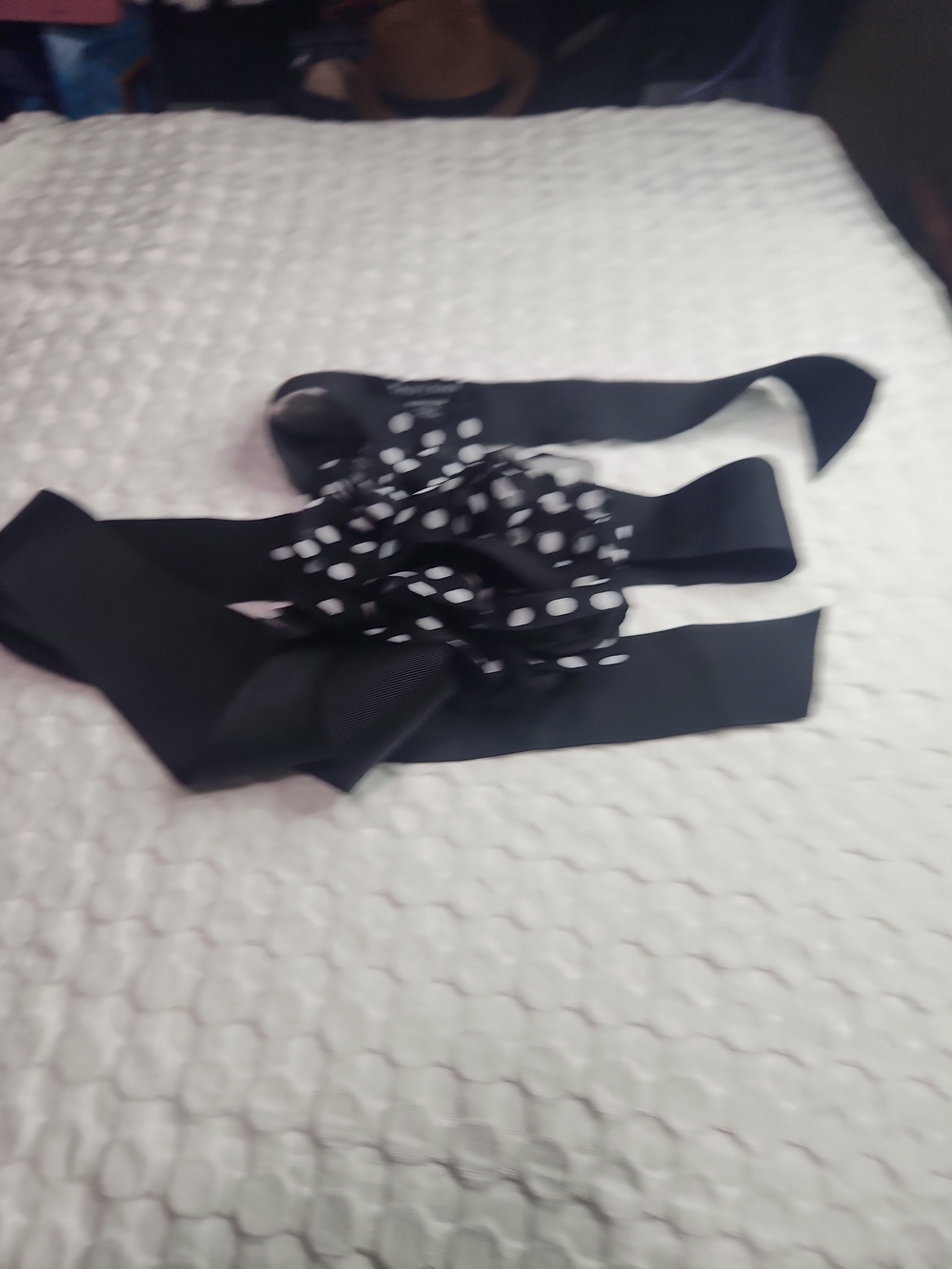 White House Black Market Black Polka Dot Bow Waist Belt